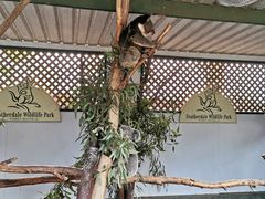 -费瑟代尔野生动物园