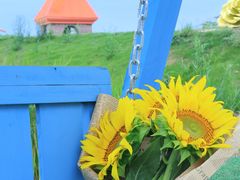 -杭州湾海上花田景区