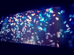 景点-聊城海底世界