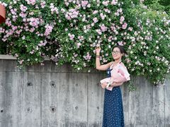 -丹东路渡口(轮渡站)