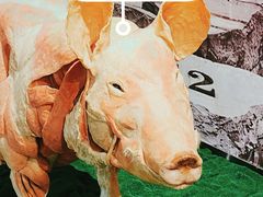 -生命奥秘博物馆