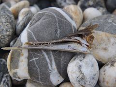 -七星潭蓝天广场