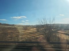 -张金涛熏鸡(人民南路店)