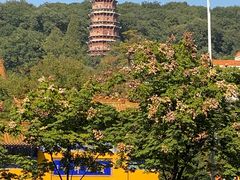 -宝通禅寺