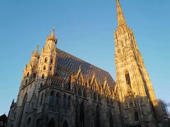 -斯蒂芬主教座堂(Stephansdom)