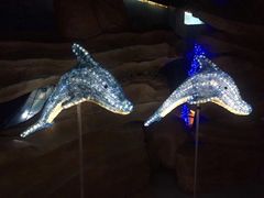 -福州罗源湾海洋世界旅游区