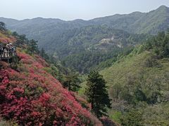 -木兰云雾山