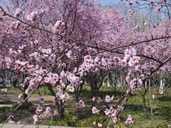 -白塘生态植物园