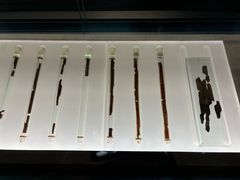 -银雀山汉墓竹简博物馆