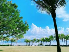 -深圳湾公园(南山区)