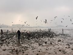 -三合园水饺(二马路店)