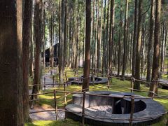 -玉苍山国家森林公园