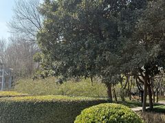 -郑州植物园