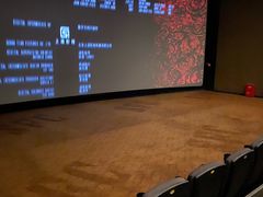 -SFC上影影城(成都科华IMAX店)