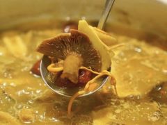 -菌之家·专业纯野生菌火锅·特色炒菌