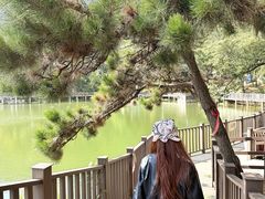 -沂蒙山旅游区云蒙景区(蒙山国家森林公园)