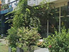 -春树下·树屋花房西餐厅(罍街AS1980店)