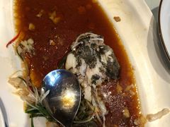 清蒸笋壳鱼-沪碟·精菜坊(闵行店)
