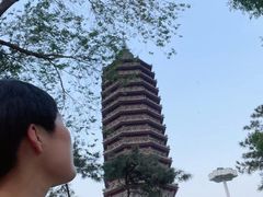 -西海子公园