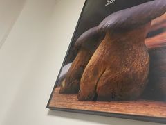 -菌极鲜野生菌火锅店(阳明祠店)