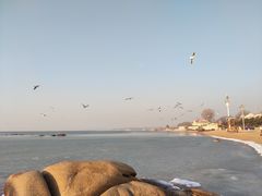 -老虎石海上公园