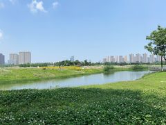 -洋湖国家湿地公园