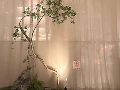 -小厨娘淮扬菜(河西奥美大厦店)