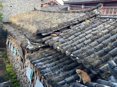 -田德能咖啡博物馆