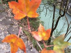 -百漈沟生态旅游景区