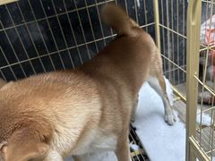 -沐毫傣泐云南菜孔雀宴•手抓饭傣味烧烤(曼听公园店)