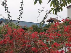 -宝晶宫旅游景区