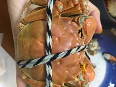 -七的湖·晚芳亭·阳澄湖农家菜·大闸蟹(莲花岛店)
