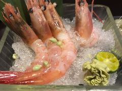 -春草居酒屋·晴子の店