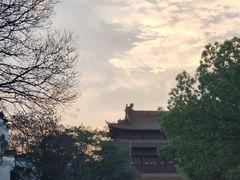 -赭山公园