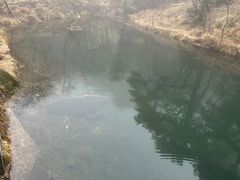-黄山白云宾馆