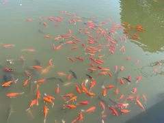 -重元寺香积厨素斋馆