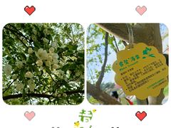 -陶然亭公园