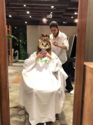 -V-STAR威斯达•高级私人定制