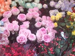 -越秀西湖花市(广州城市广场花卉店)