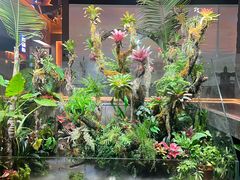 -华夏良子·足道SPA艾灸(中关村旗舰店)