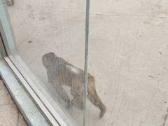 -鄂尔多斯野生动物园