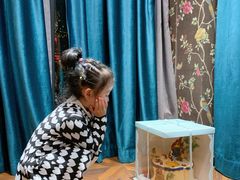 -今日Cake蛋糕茶歇·甜品台定制