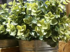 -大洋家·精品潮汕菜·生腌砂锅粥(天河东路店)