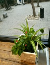 -大象造型