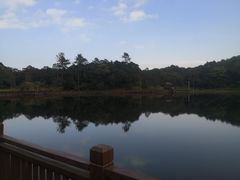 -海南热带雨林国家公园吊罗山景区