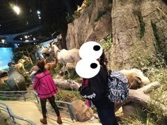 -陕西自然博物馆