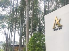 -桉树林A coffee 森林餐厅(三圣乡店)