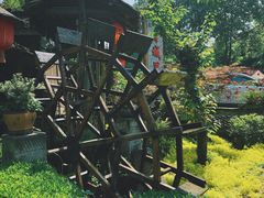 -青城甲(青城山店)