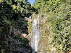 -鼎香皇高佬苏裹蒸粽