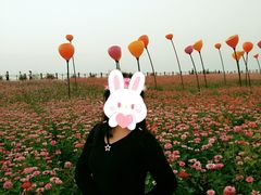 -枫林花海